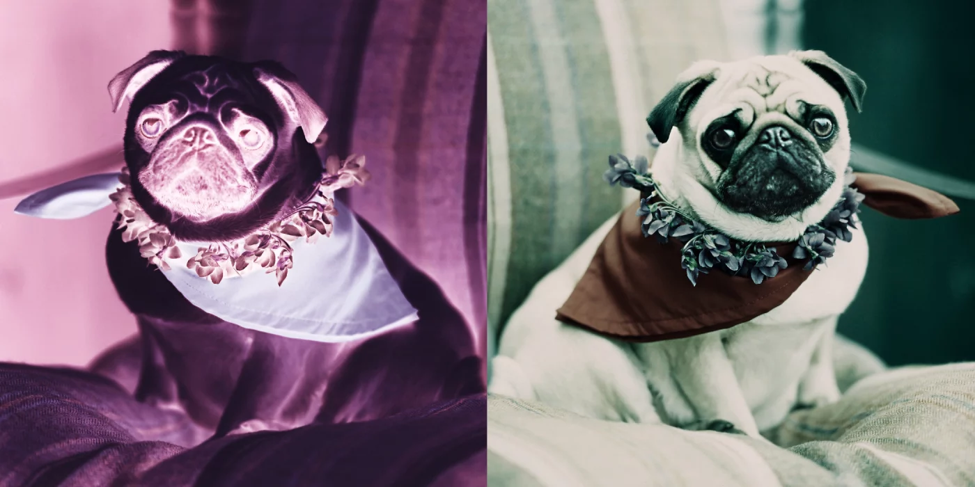mops