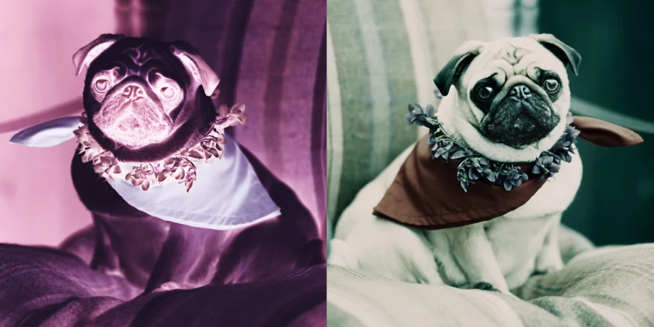 mops